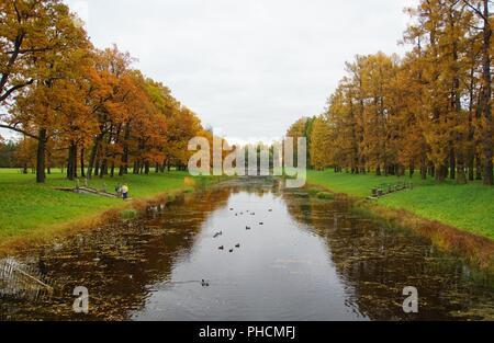 Camminare in autunno sera a Catherine Park Foto Stock