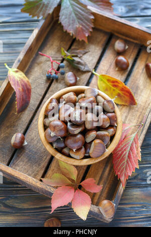 Ciotola con mature castagne su una scatola di legno. Foto Stock