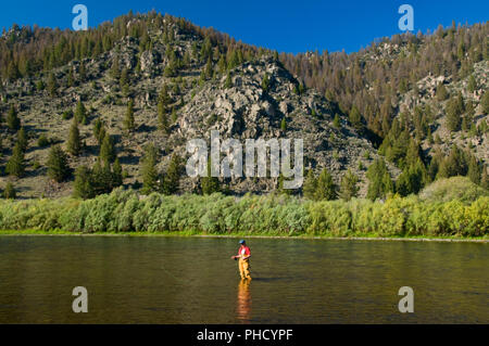 Pesca a Mosca il foro grande fiume, George Grant Memorial pesca sito di accesso, Montana Foto Stock