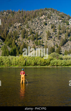 Pesca a Mosca il foro grande fiume, George Grant Memorial pesca sito di accesso, Montana Foto Stock