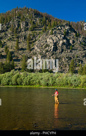 Pesca a Mosca il foro grande fiume, George Grant Memorial pesca sito di accesso, Montana Foto Stock