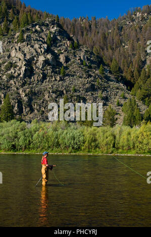 Pesca a Mosca il foro grande fiume, George Grant Memorial pesca sito di accesso, Montana Foto Stock