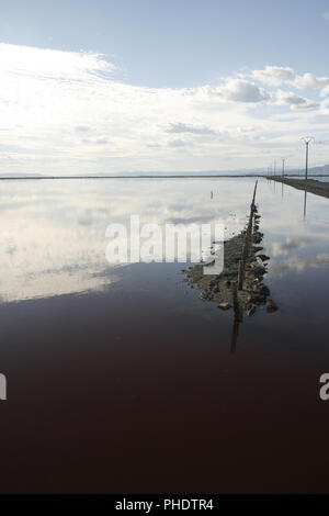 Delta del Ebro national park. Tarragona. La Catalogna. Spagna Foto Stock