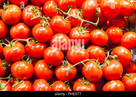 Molti pomodori rossi Foto Stock