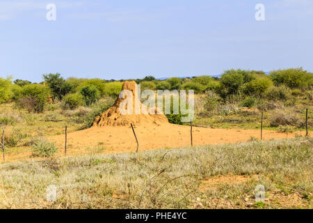 Termite mound in Namibia Foto Stock