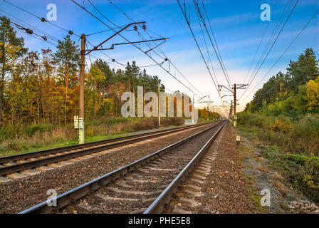 Linea ferroviaria nel bosco in autunno Foto Stock