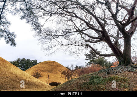 Tomba daereungwon complessa Foto Stock