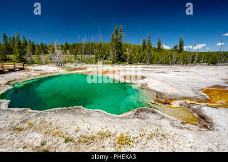 Terme a Yellowstone Foto Stock