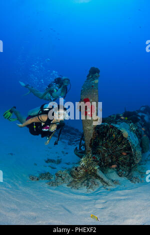 Divers (MR) su un WW II Corsair aereo da caccia fuori il sud-est Oahu, Hawaii. Foto Stock