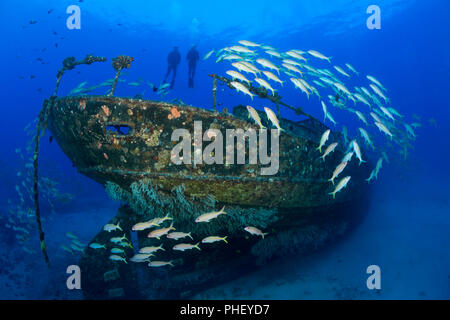 Divers (MR) appendere sopra i Cartaginesi, un punto di riferimento di Lahaina, affondato come una barriera corallina artificiale off Lahaina, Maui, Hawaii nel dicembre 2005. Foto Stock