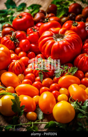 Varie appena raccolto pomodori, close up Foto Stock