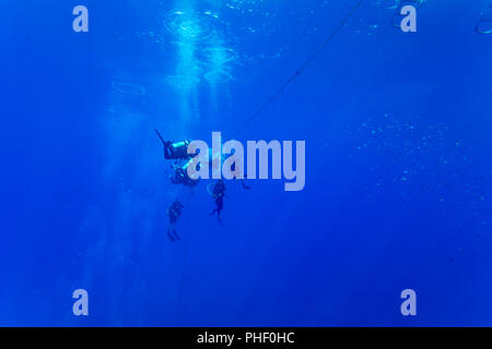 Divers (MR) nella foto appese a 15 piedi per una sosta di decompressione prima di rifinitura, Hawaii. Foto Stock