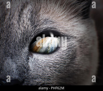 Misterioso occhio di gatto con viola galaxy all'interno. Foto Stock