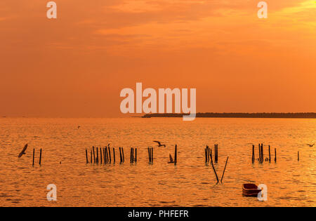 Lonely in legno barca dei pescatori con i gabbiani quando il tramonto / alba sul mare una libertà e un tranquillo Foto Stock