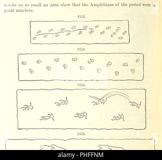 Immagine dalla pagina 694 del '[manuale di geologia il trattamento dei principi della scienza con speciale riferimento alla American storia geologica . Edizione riveduta.]' . Foto Stock