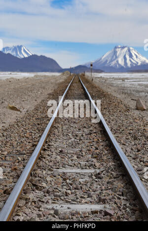 Treno le vie di corsa attraverso il Salar de Chiguana nel né Lipez provincia, vicino Uyuni, Bolivia. Foto Stock