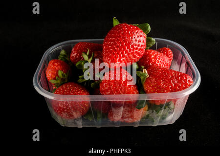 Fragole fresche nella casella isolato Foto Stock