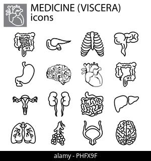 Linea Web impostato. Medicina, visceri nero su sfondo bianco Illustrazione Vettoriale