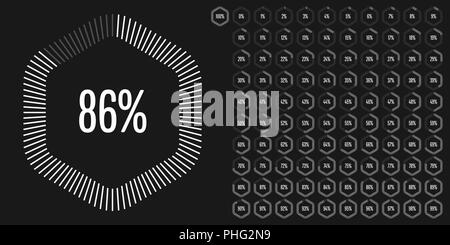 Set di esagono diagrammi di percentuale da 0 a 100 pronto per l'uso per il web design, l'interfaccia utente (UI) o una infografica - indicatore con il bianco Illustrazione Vettoriale