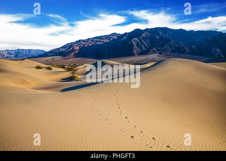 Mesquite Flat dune di sabbia Foto Stock