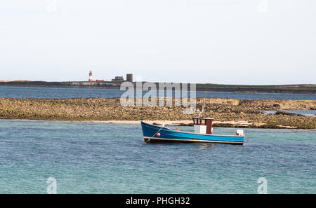Billy Shiel della barca il lieto annunzio giacente off farne interna, farne Islands, Northumberland, England, Regno Unito Foto Stock