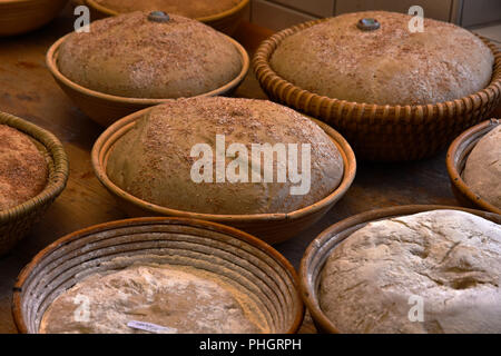 Pasta di pane; la cottura del pane; pane contadino; Foto Stock