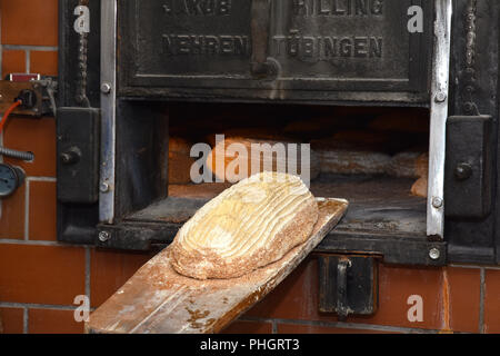 Pasta di pane; la cottura del pane; pane contadino; woodstove; Foto Stock