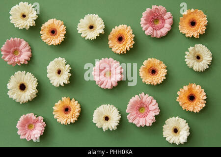 Disegno da diversi fiori di gerbera su uno sfondo verde. Foto Stock