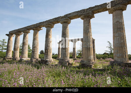 Tavole Palatine, Metaponto Foto Stock