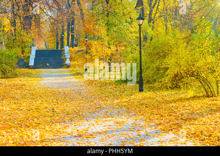 Vicolo del parco di autunno Foto Stock