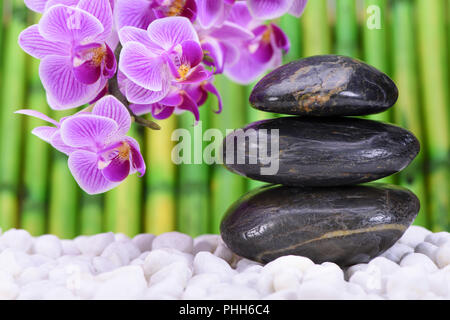 Giapponese giardino zen con pietre impilate e fiori di orchidea Foto Stock