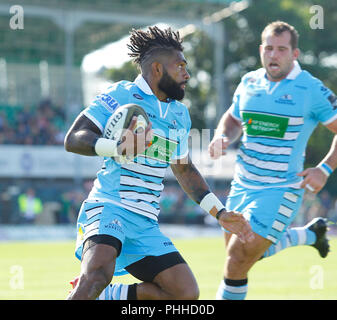 Campo Sportivo di Galway e Galway, Irlanda. 1 Sep, 2018. Guinness Pro14 rugby, Connacht rispetto a Glasgow; Niko Matawalu con la palla per Glasgow Warriors Credito: Azione Sport Plus/Alamy Live News Foto Stock