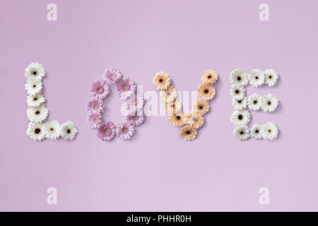 La parola amore fatta da diversi fiori di gerbera Foto Stock
