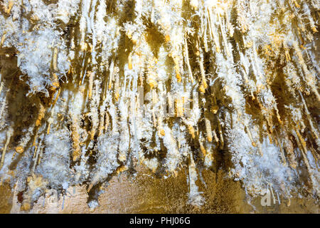 Molte stalattiti bianco all'interno della grotta Foto Stock