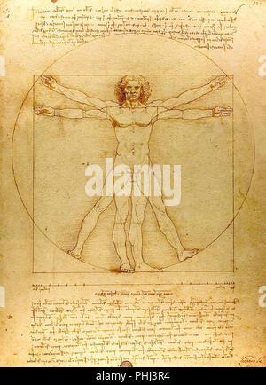 L'uomo vitruviano. Disegno di Leonardo da Vinci Foto Stock
