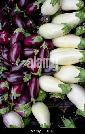 Solanum melongena. Melanzane per la vendita in una cassa di legno. Regno Unito Foto Stock