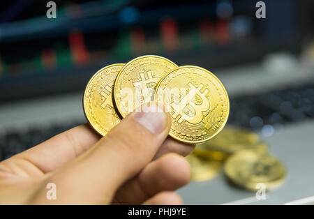 Imprenditore maschio mano azienda tree bitcoin su uno sfondo del grafico di crescita su uno schermo di computer portatile. Denaro virtuale concetto e la crescita finanziaria concetto su sfondo grafico. Trading di data mining bitcoins Foto Stock