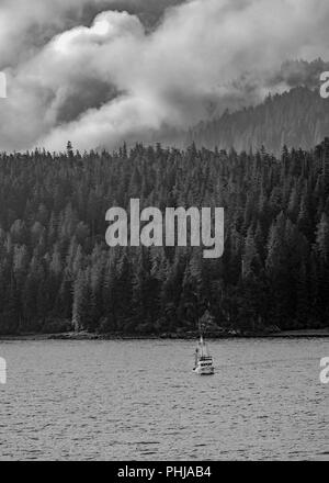 Juneau Alaska - Montagna nuvole deriva su Alaskan alberi durante una nave da crociera escursione turistica - estate Alaskan paesaggio di sunrise Foto Stock