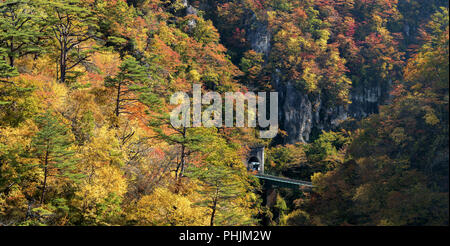 Naruko Gorge valley con tunnel ferroviario in Miyagi Tohoku Giappone Foto Stock