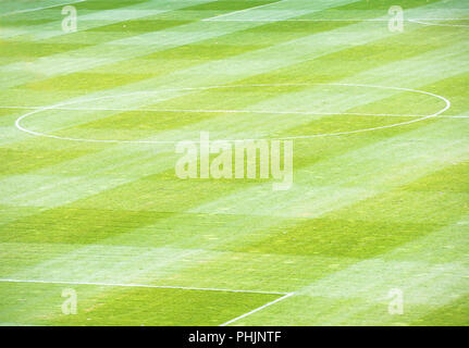 Football Soccer campo verde Foto Stock