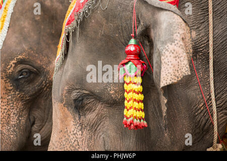 Thailandia BURIRAM SATUEK LONGBOAT GARA Foto Stock