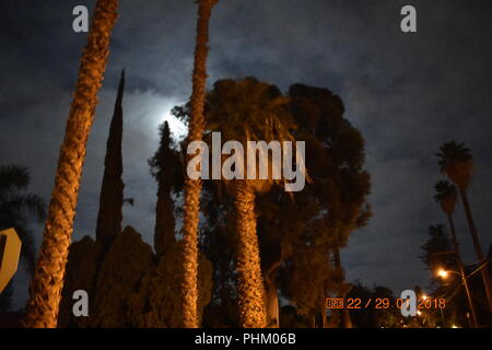 Passeggiata al Chiaro di luna Foto Stock