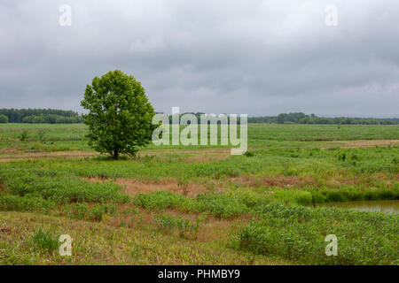 Scene dal cannone di Clarence National Wildlife Refuge Area in Pike County, Missouri. Foto Stock