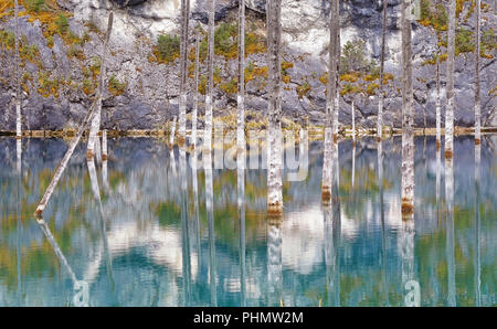 Una vista maestosa della foresta affondata nel lago Kaindy, Kazakistan. Foto Stock