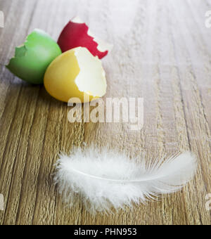 Guscio delle uova di Pasqua e di piume bianche Foto Stock
