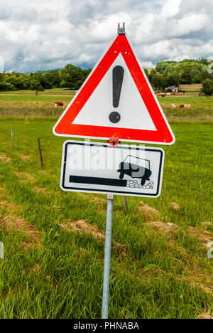 Strada sterrata segno, campagna Foto Stock