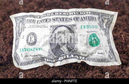 Uno accartocciata dollaro americano si trova sul terreno sporco sul campo, primo piano Foto Stock