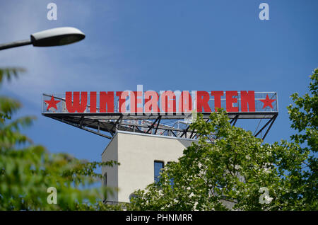 Wintergarten, Potsdamer Strasse e il Tiergarten, nel quartiere Mitte di Berlino, Deutschland Foto Stock