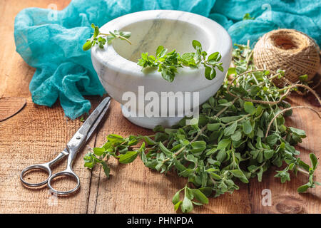 Erbe piccanti maggiorana su un tavolo di legno Foto Stock