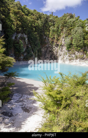 Lago vulcanico a waimangu Foto Stock